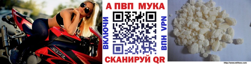 Купить закладки  Котлас  APVP крисы CK 