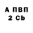 А ПВП СК An Goose
